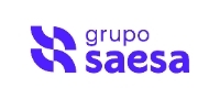 Grupo Saesa